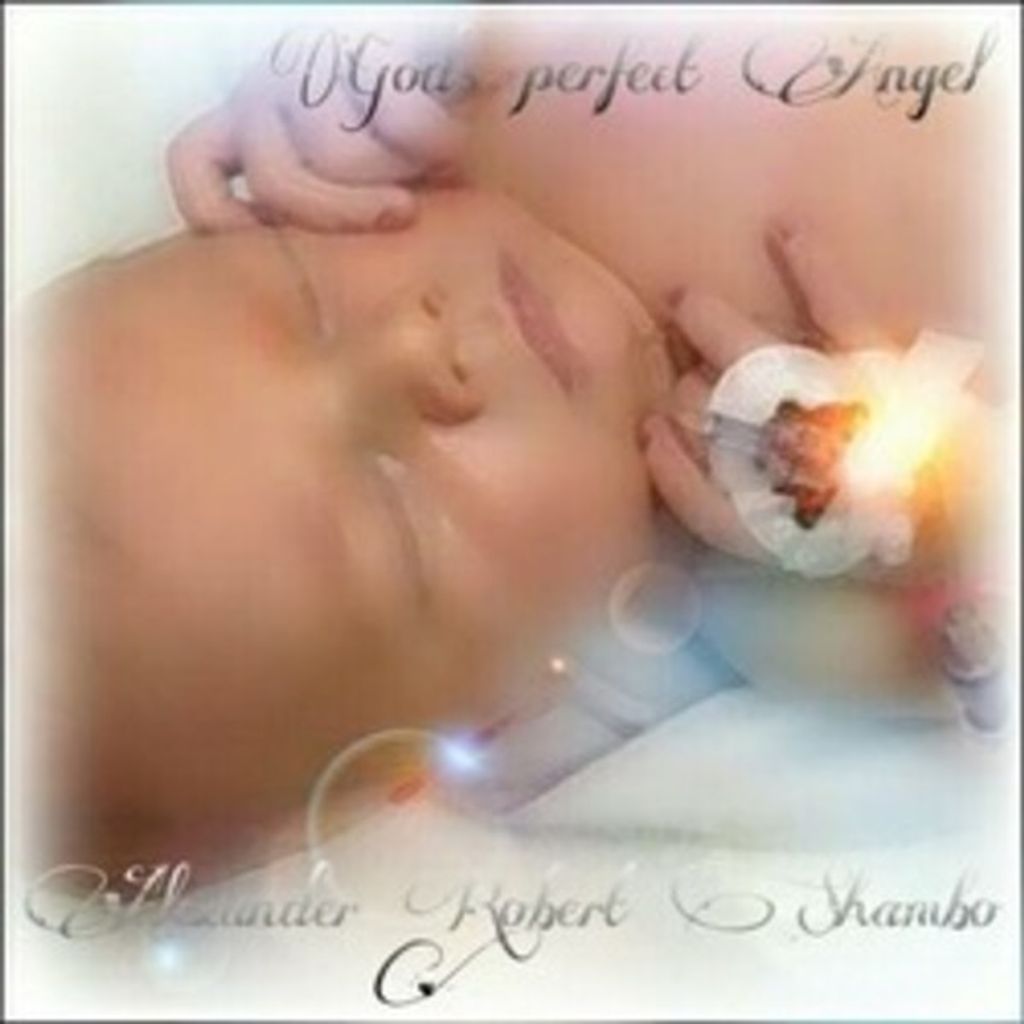 Alexander Robert Shambo Profile Photo