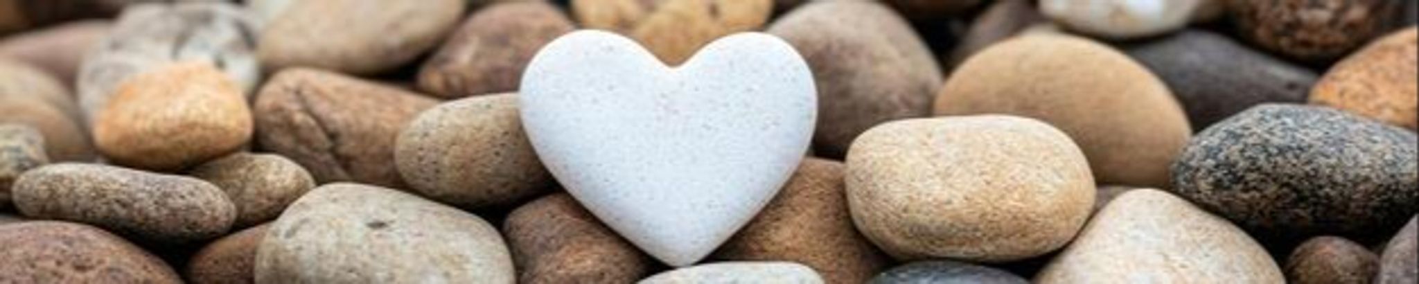 Cover for Nadine S. Lee's Obituary