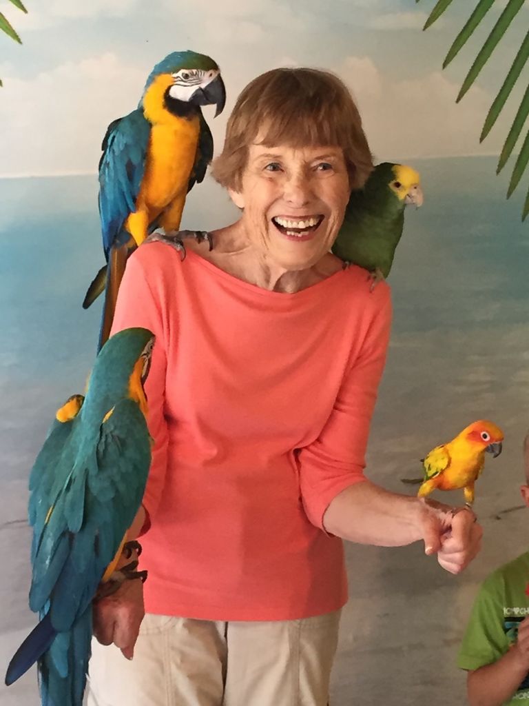 Patricia Dent Murphy