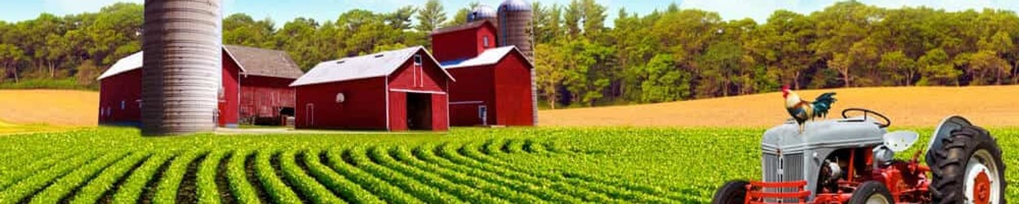 Cover for Elmer R. Dorr's Obituary