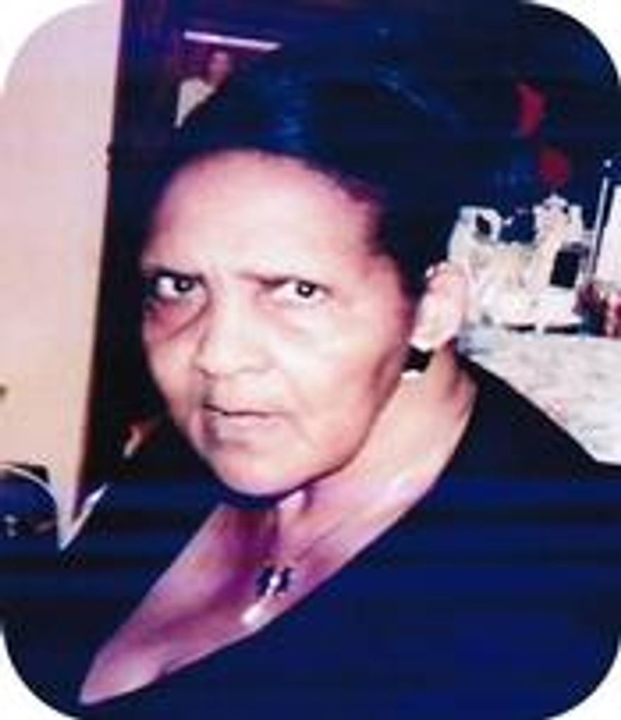 Curtis Harrington Profile Photo