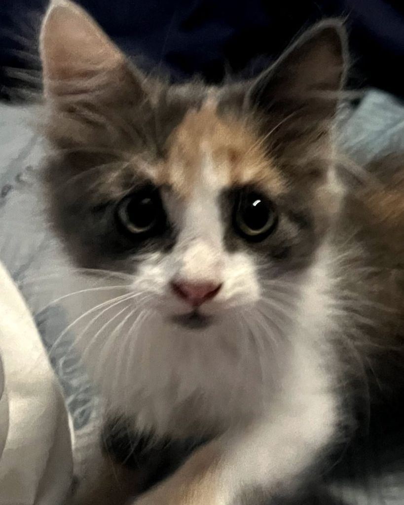 Hazel 🖤 Profile Photo