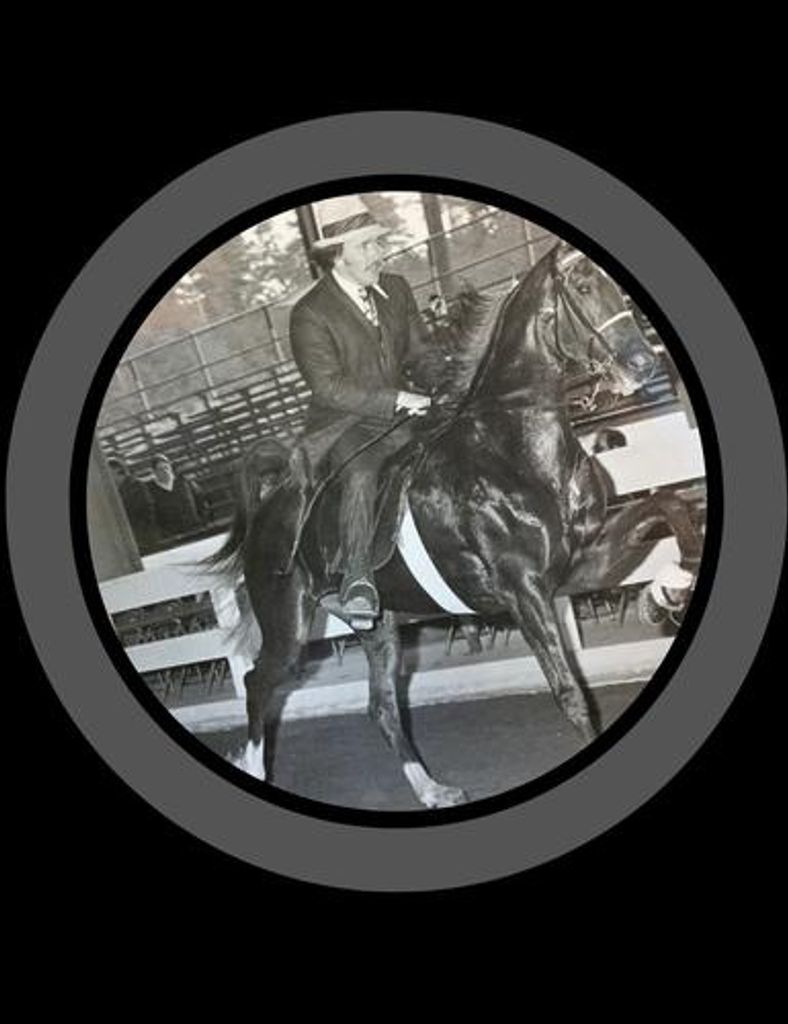 Joe Dan Shortt Profile Photo