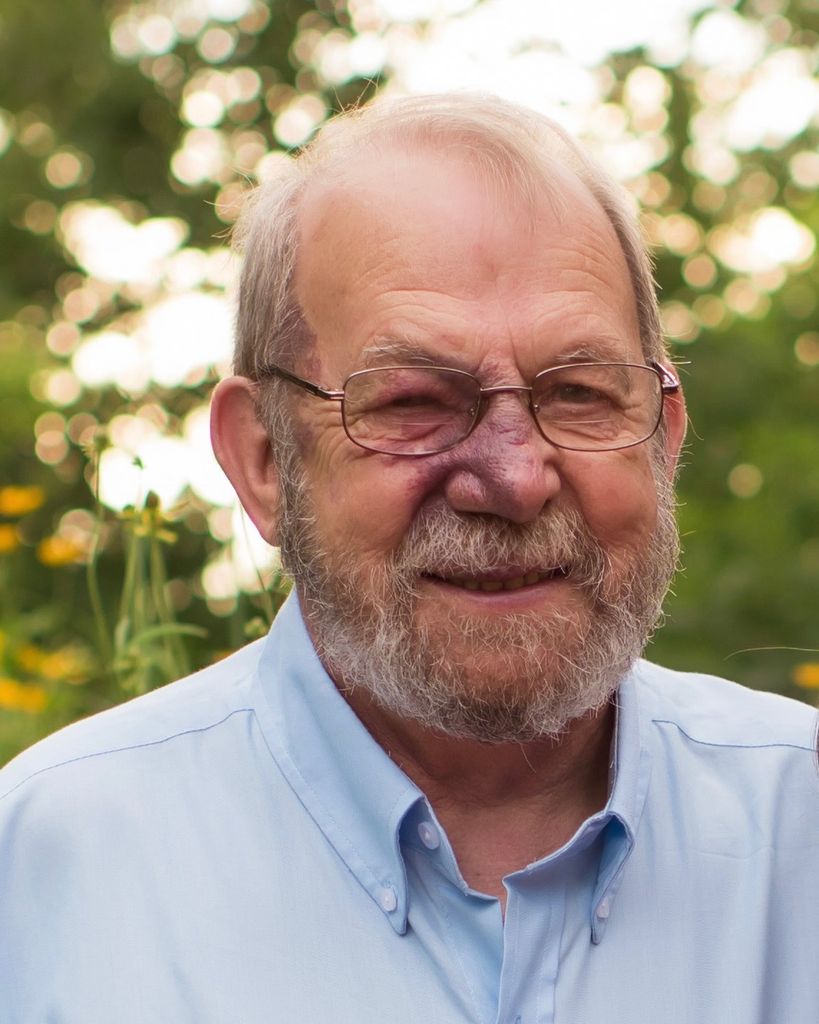 DeWayne H. Schau