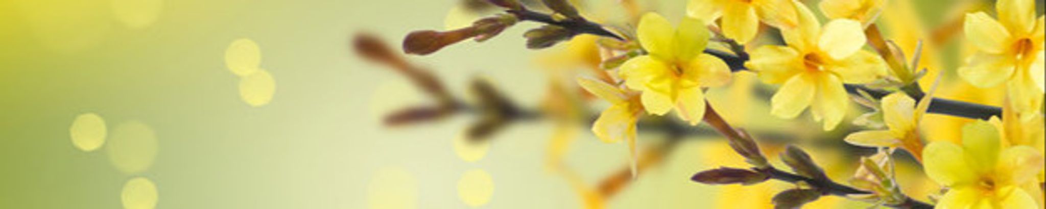 Cover photo for Edna J. Savage's Obituary