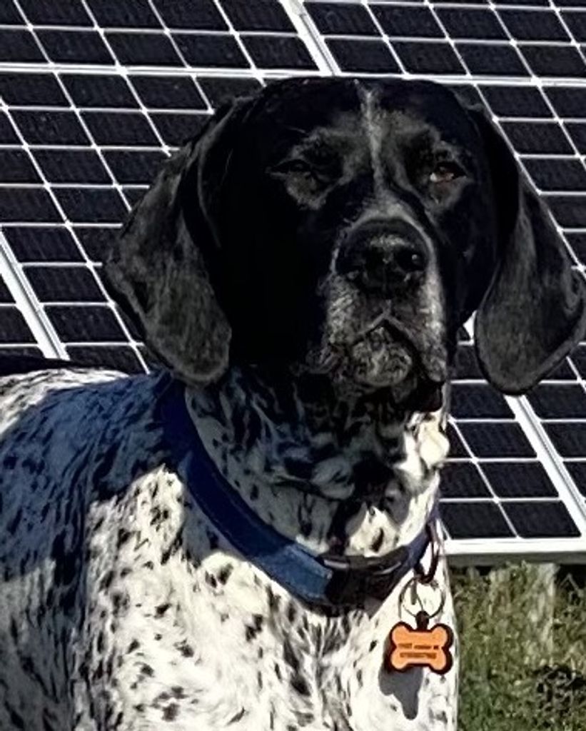 Bruce James Profile Photo