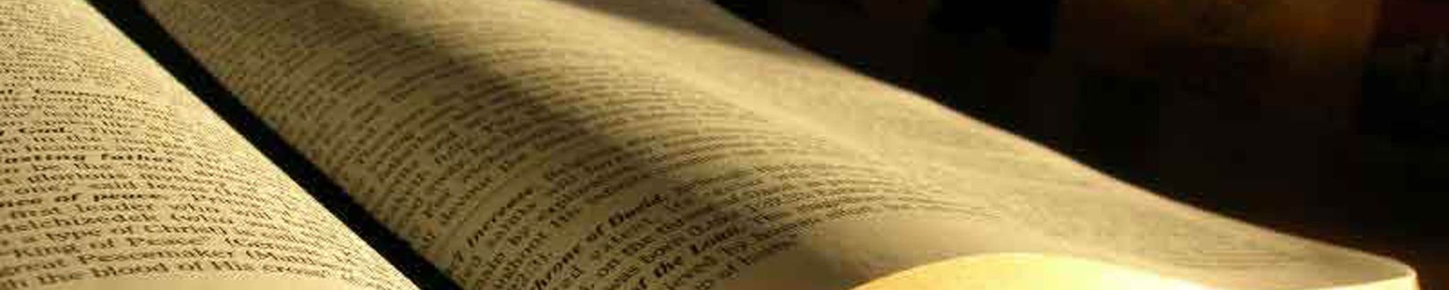 Cover for Linda Fisher's Obituary