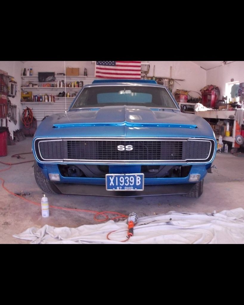 Dana Wilfong Profile Photo