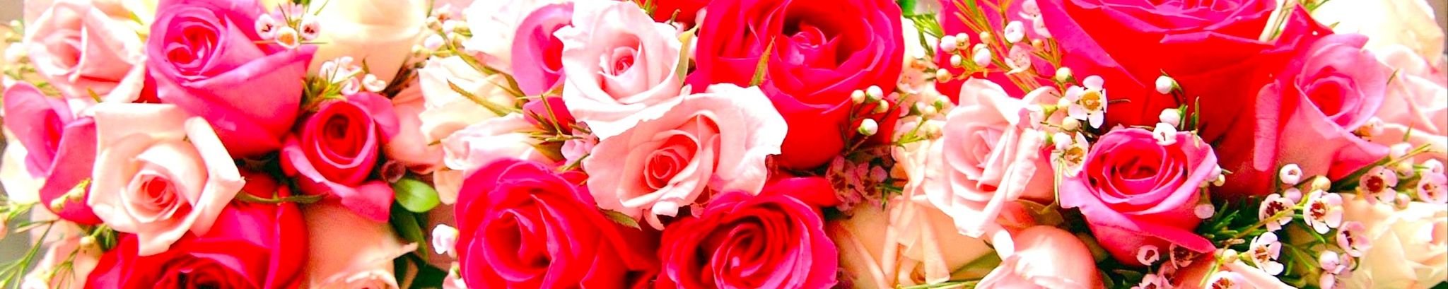 Cover photo for Evelyn Marie Trieb's Obituary
