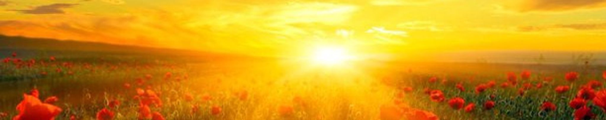 Cover photo for Jacqueline Denise Jackson's Obituary