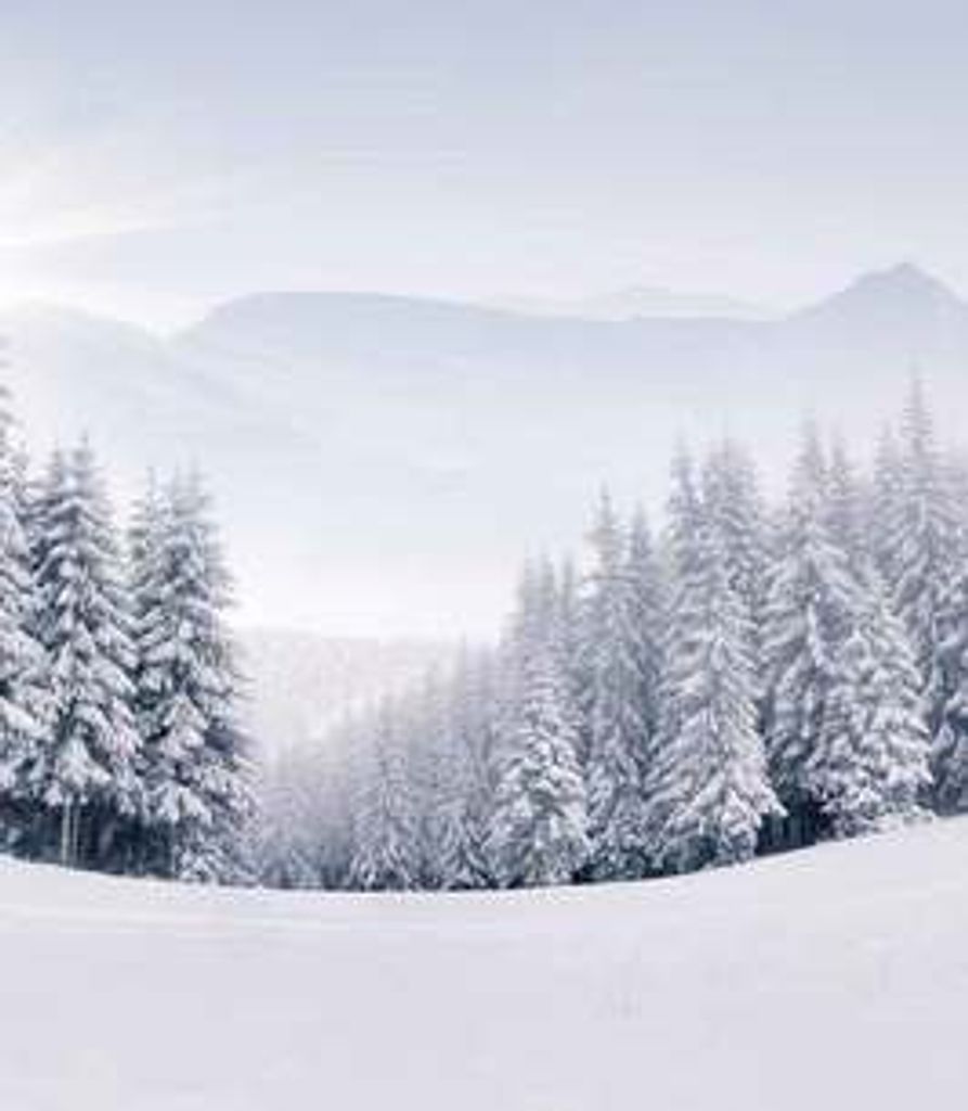 Charles Hautamaki Profile Photo