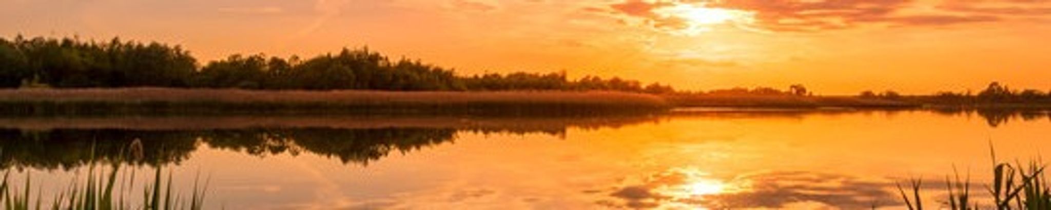 Cover photo for Levi William Sanderson's Obituary