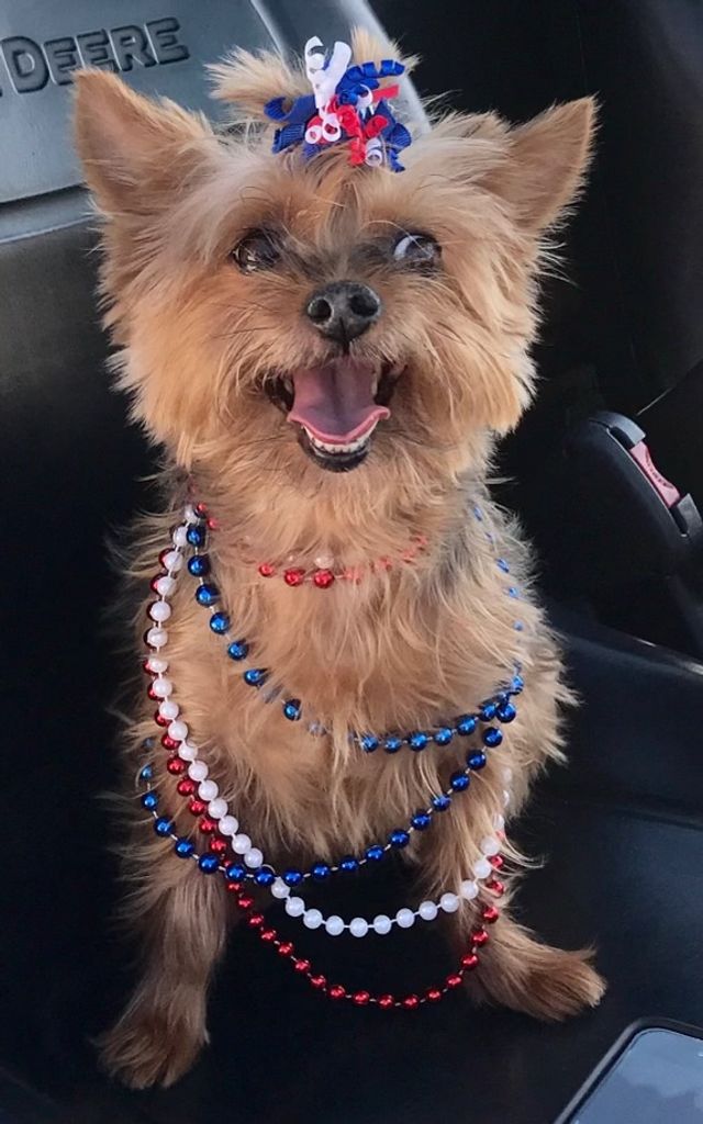 Fluffy Caramel Mocha Groom