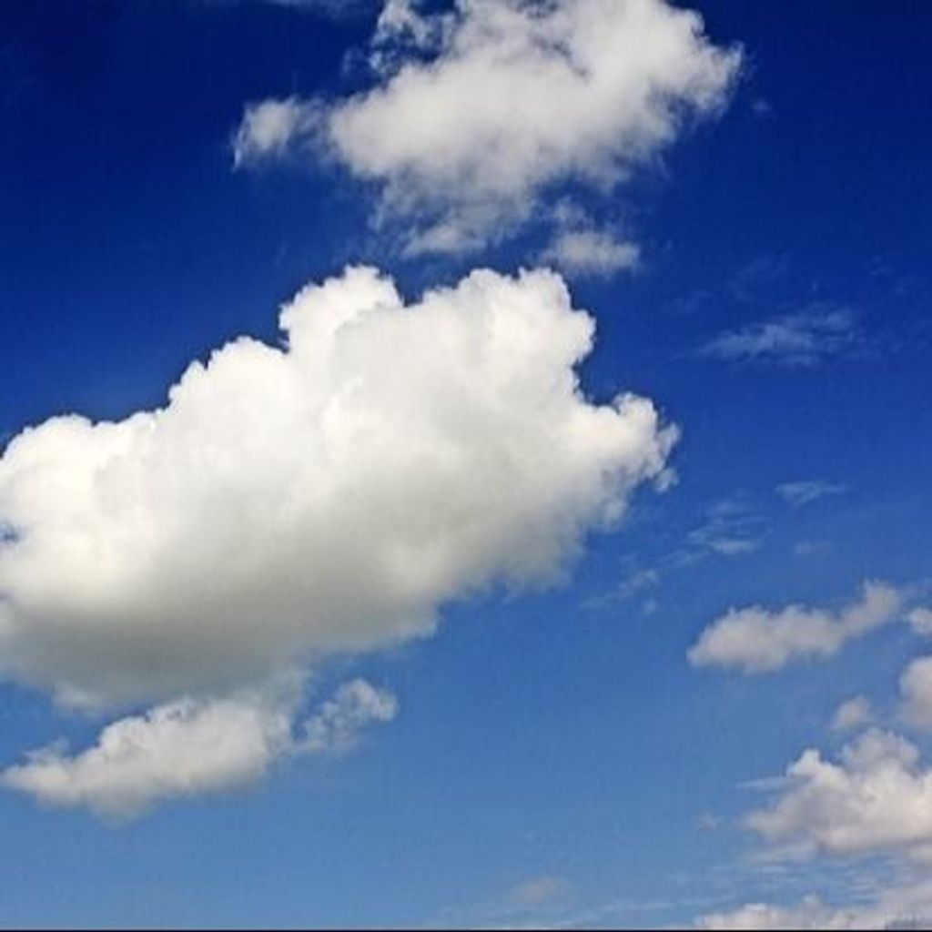 William H. Maclaren Profile Photo