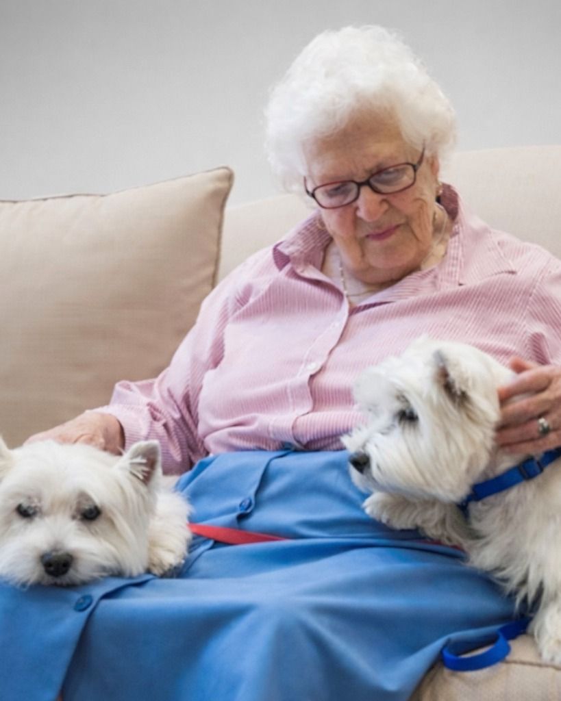 Nancy "Nan" Fahnline Warren Profile Photo