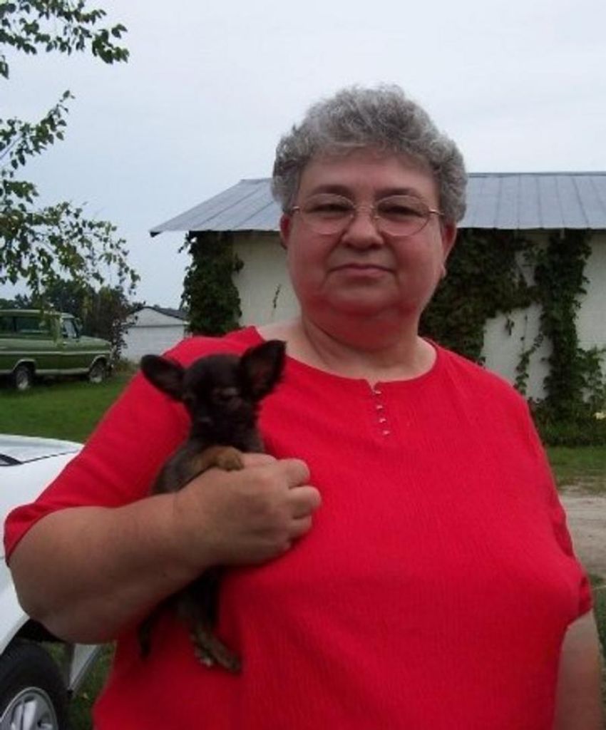 Carol Evans Willoughby Profile Photo