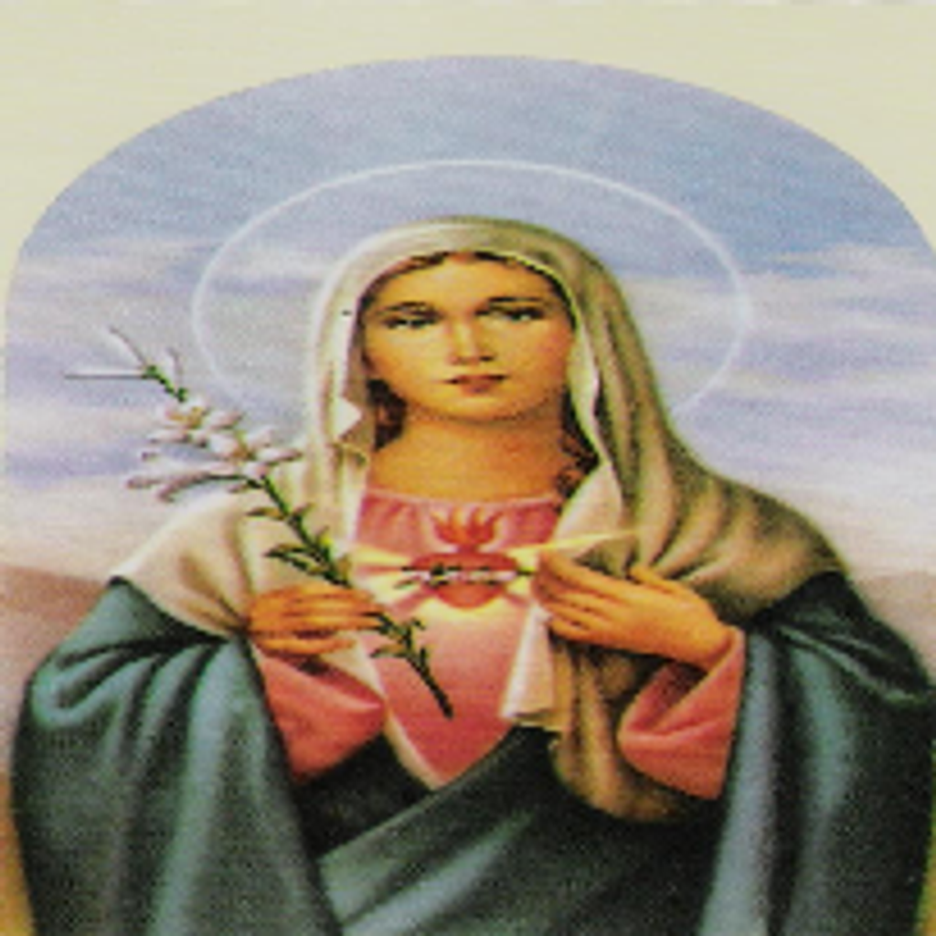 Christine S. Costello