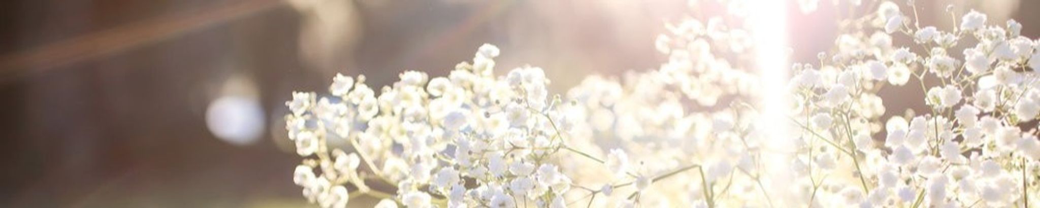 Cover photo for Marygrace Tanner's Obituary
