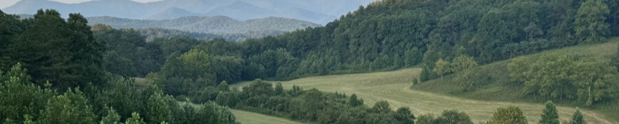 Cover photo for Rehnee Collins Dyer's Obituary