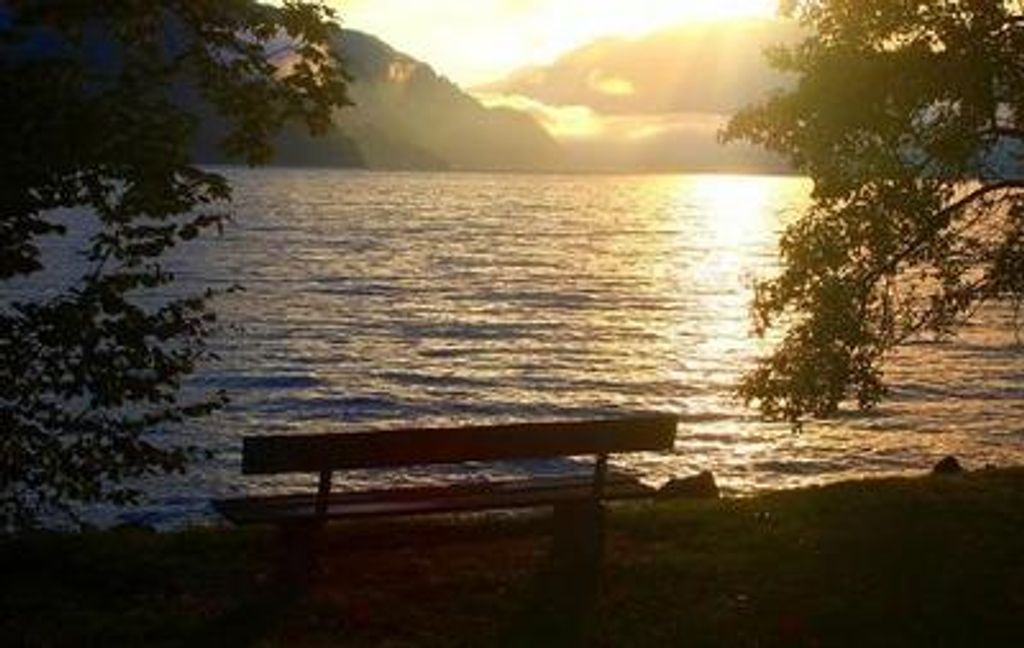 Robert E Murphy Profile Photo