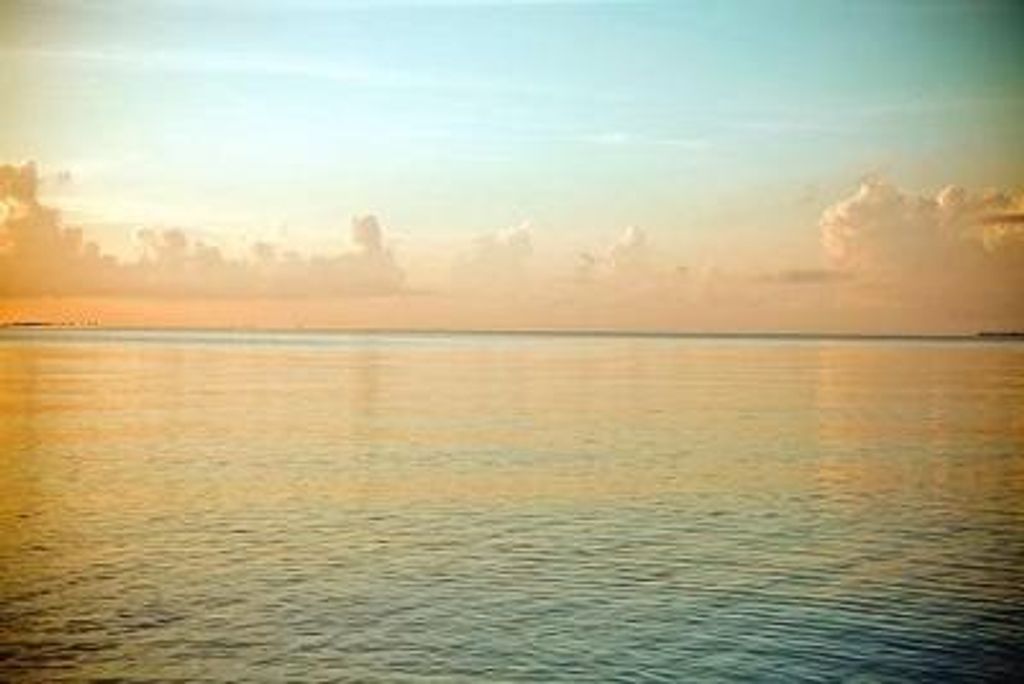 Mary Catherine Stanford Profile Photo