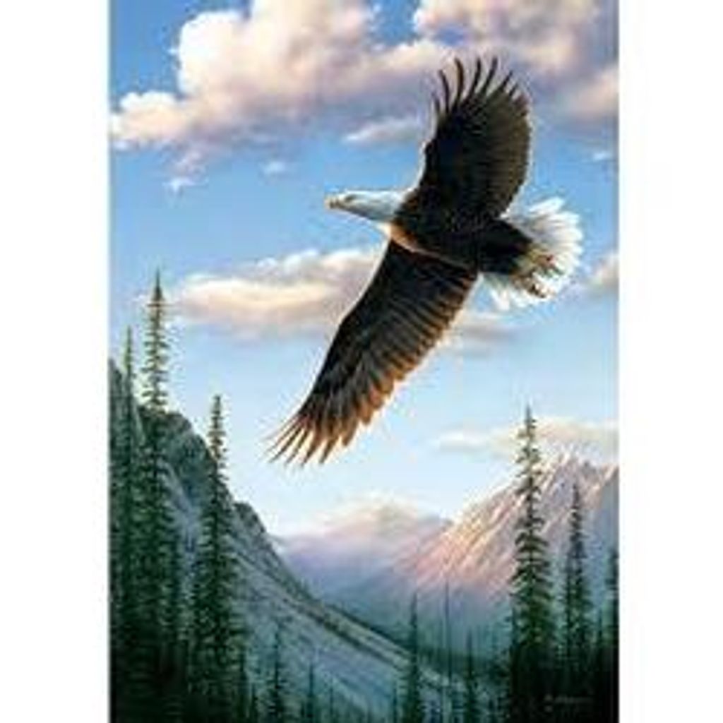 Charles C. Holy Bear