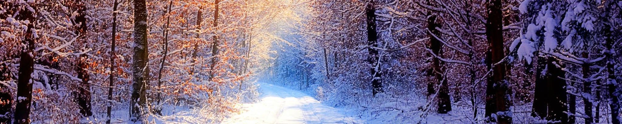 Cover for Marty Earl Young's Obituary