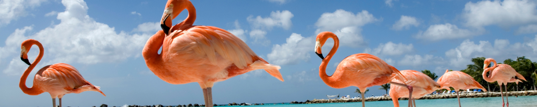 Cover for Ann Teeple-Delong's Obituary