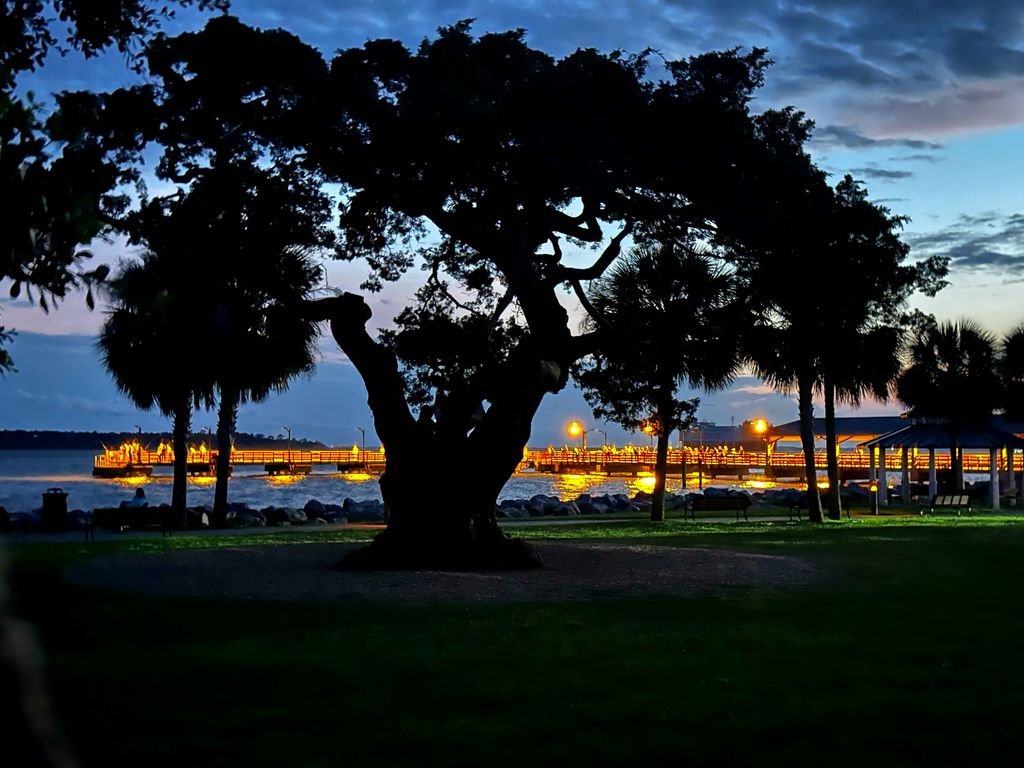 Richard Benjamin Little Profile Photo