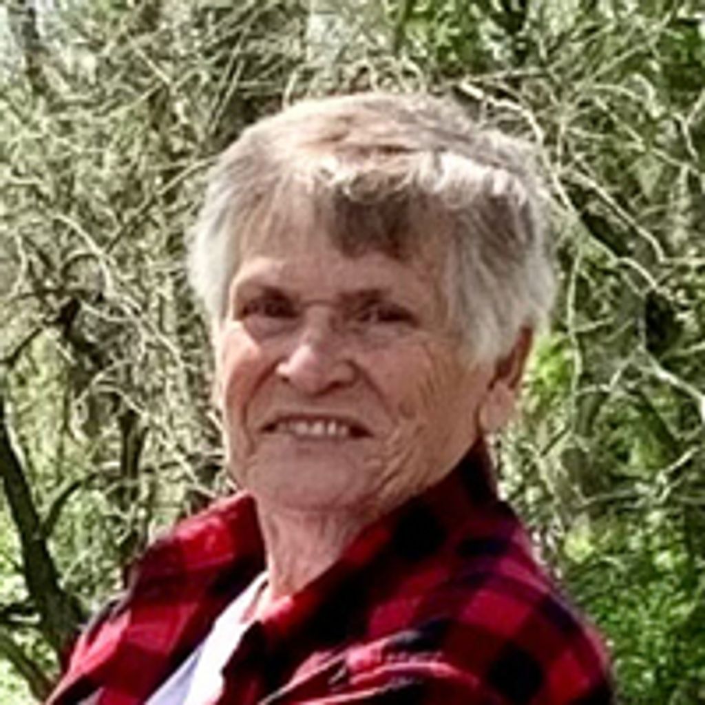 Donna  Marie Stortzum