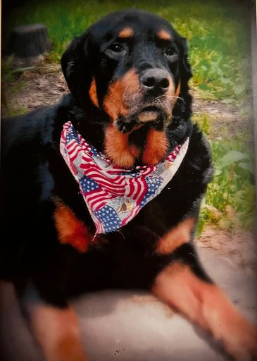 Henry "Hank" Stephenson photo gallery thumbnail 113 of 134