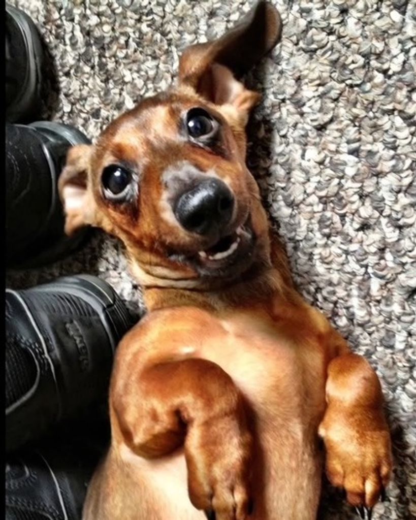 Molly Newton Profile Photo