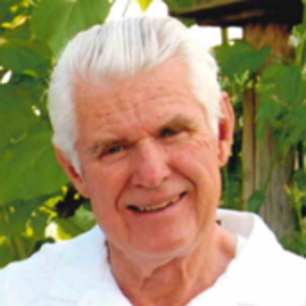 David Bruce Muhlestein