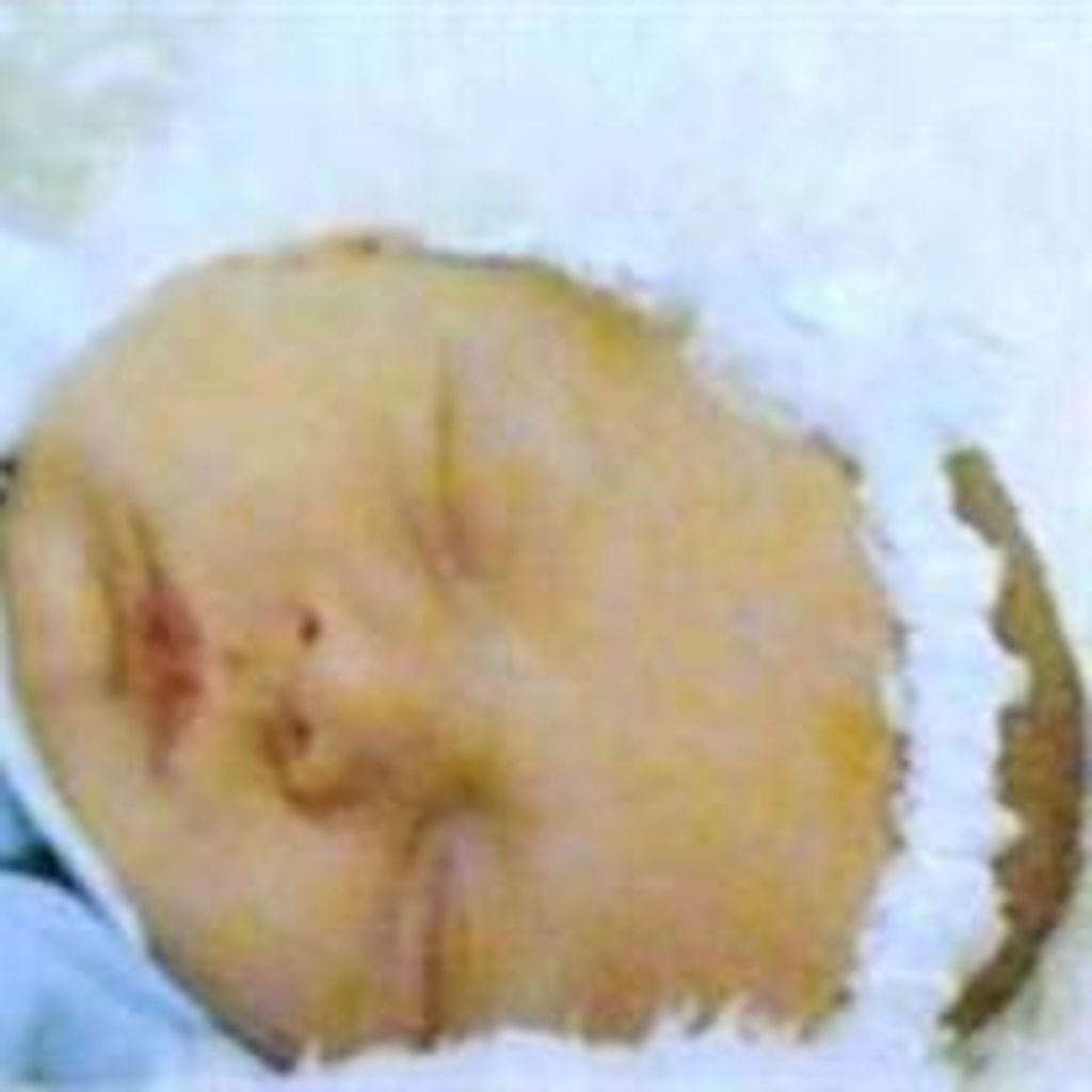 Raelynn Renae' Salmon