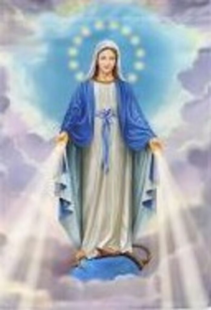 Rosanna Venneri Profile Photo