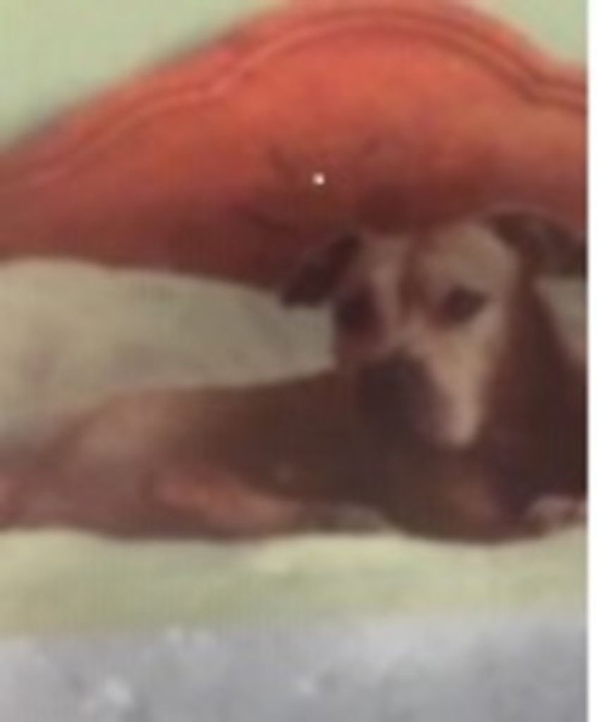 Sable Barker Profile Photo