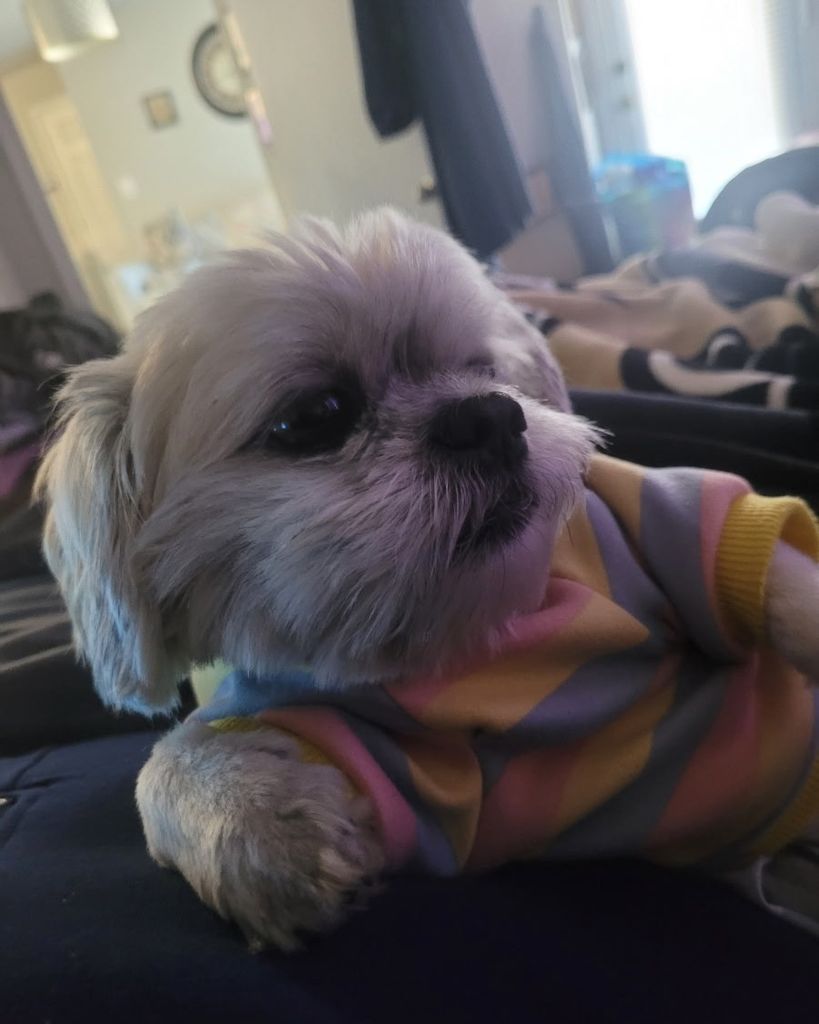 Chance Jaylen Hall Profile Photo