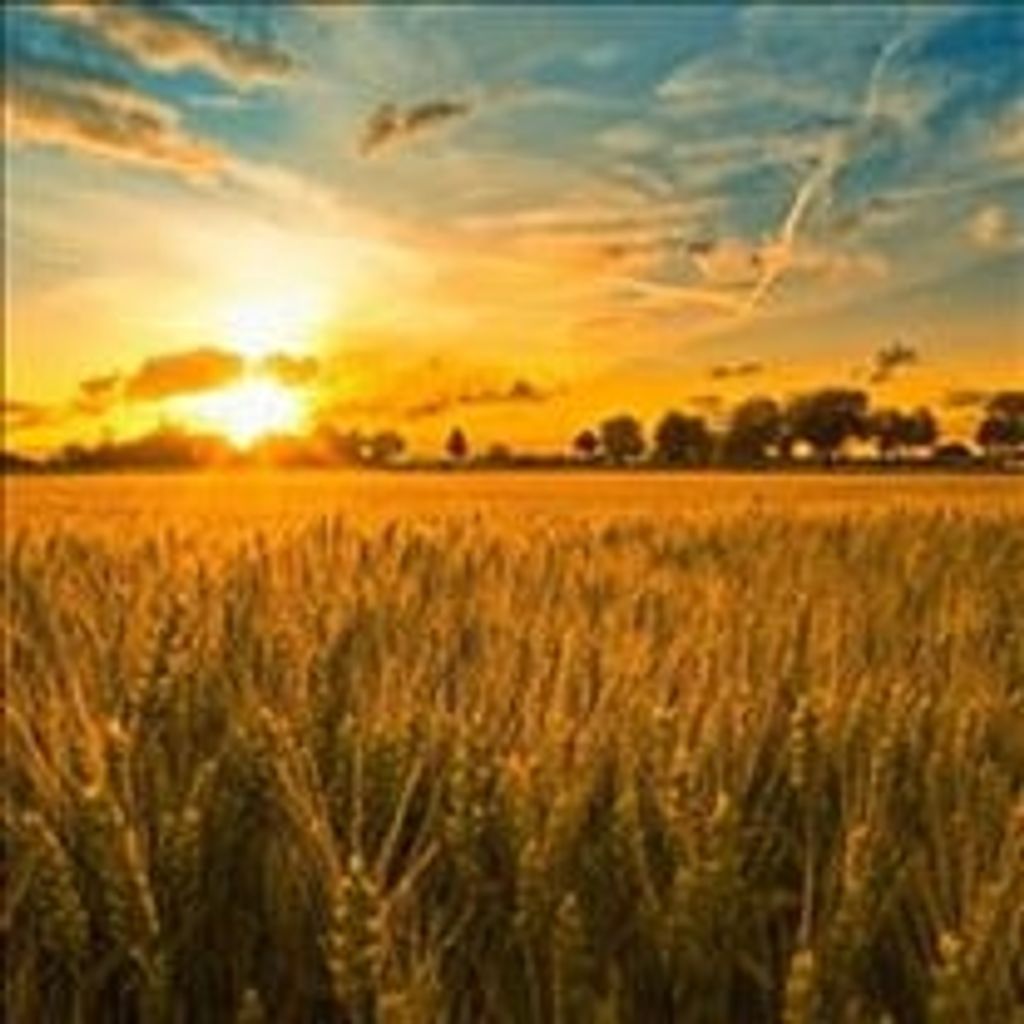 Steven Leatherman Profile Photo