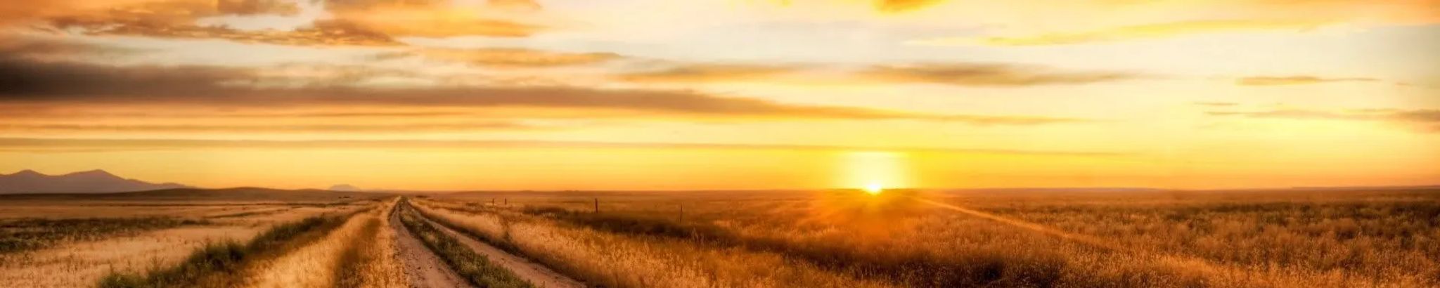 Cover for Gary "Mike" Igney's Obituary