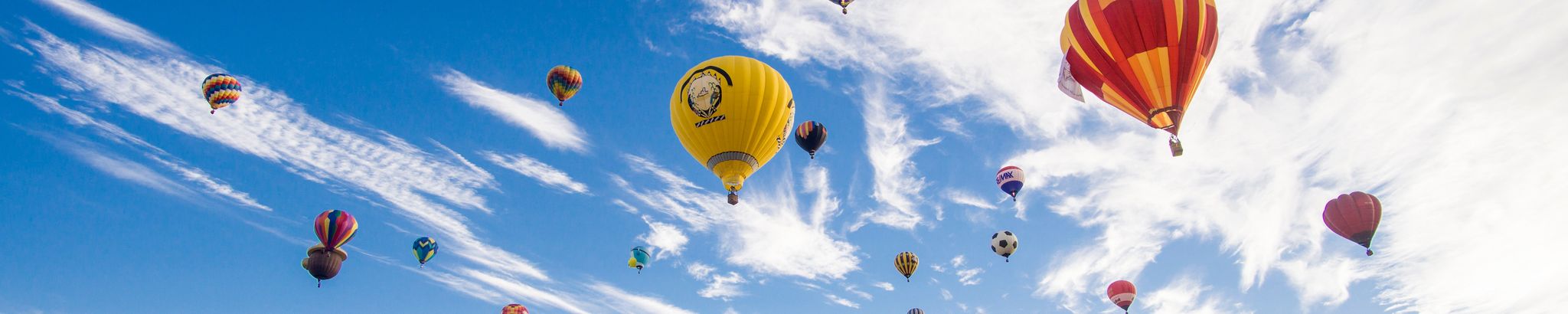 Cover for Debra D. Dischinger's Obituary