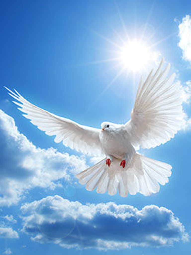 Michael A. Bock Profile Photo