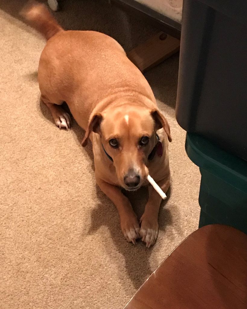 Spud Dix Profile Photo