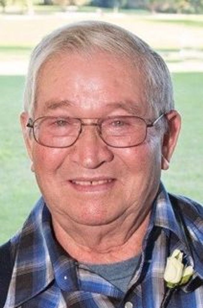 Raymond Peter Van Den Bloomer