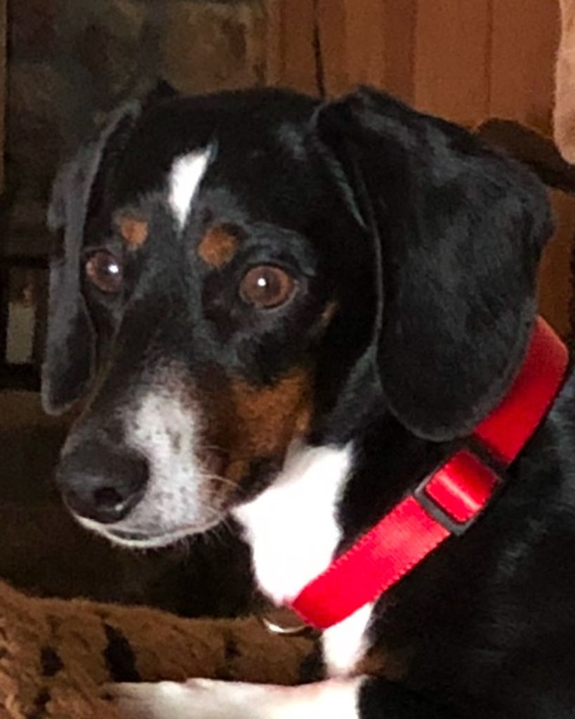 Bentley Raney Profile Photo