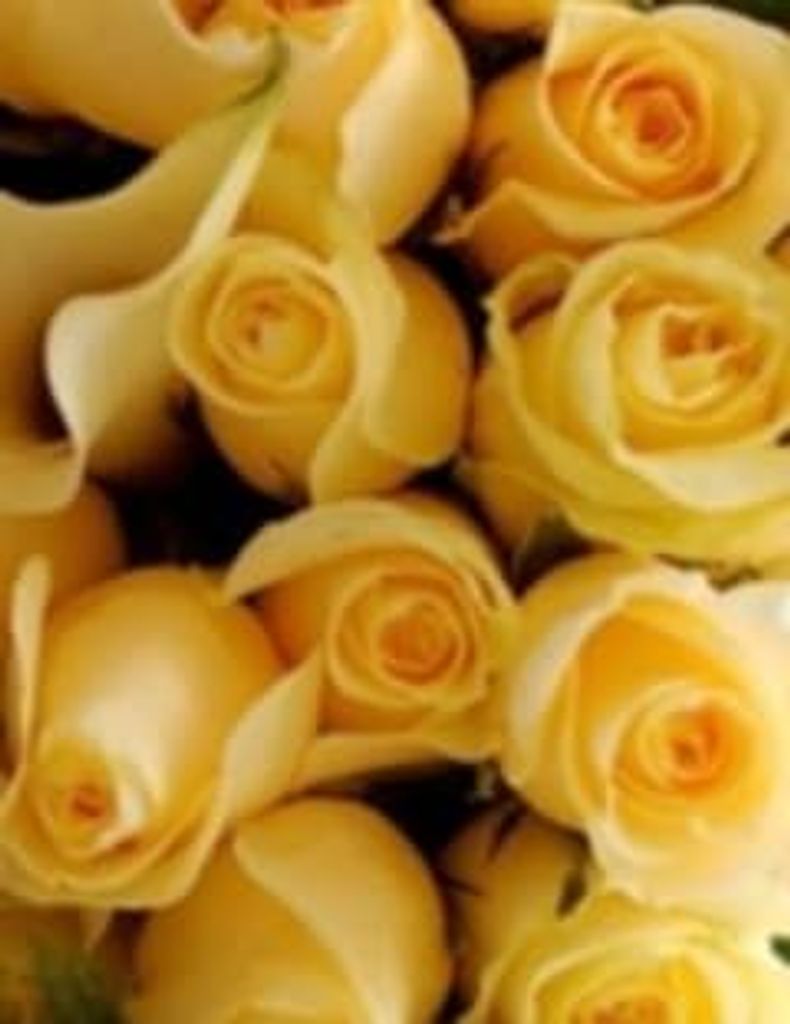 Jim Beach Profile Photo