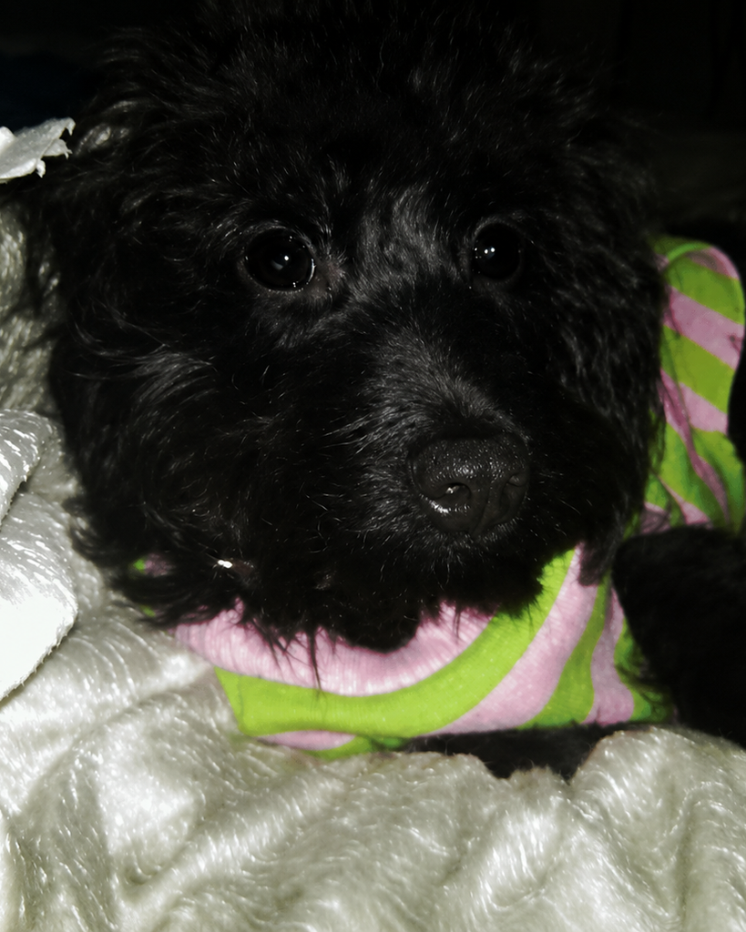Neo Profile Photo