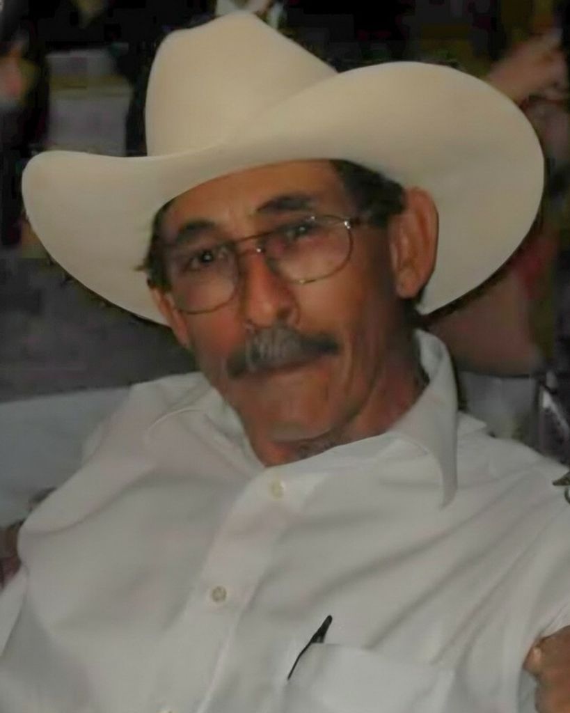 Pedro Tamez Jr. Profile Photo