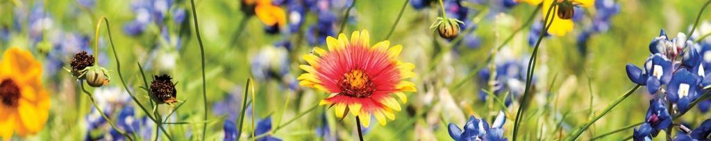 Cover photo for Leighann Coker's Obituary