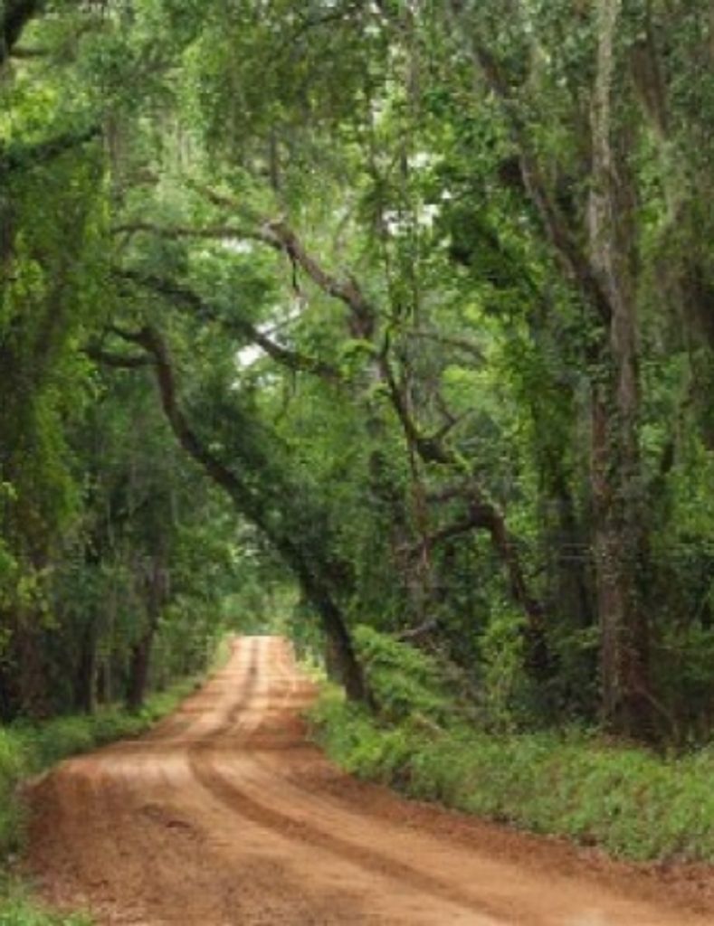 Willard Thomas  Small