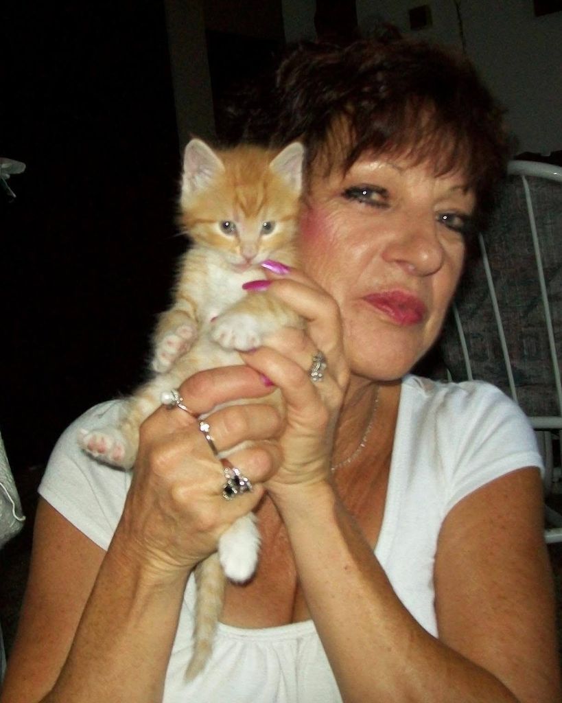 Donna Stevens